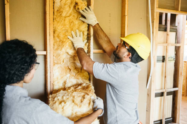 Best Best Insulation Companies  in Pemberville, OH