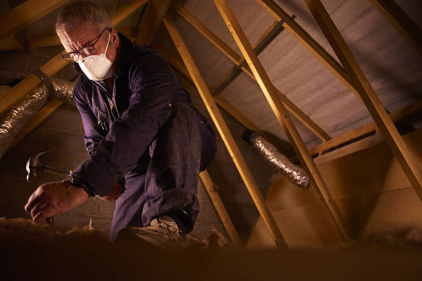 Best Crawl Space Insulation  in Pemberville, OH
